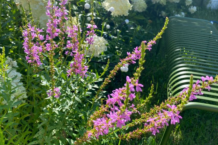 🌿용인 광교산 자연주택 18번째 이미지