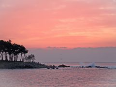 바다의 별 5번째 이미지