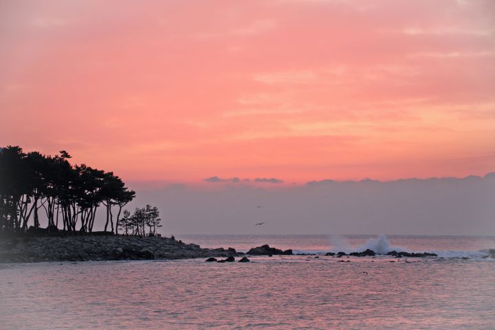 바다의 별 5번째 이미지
