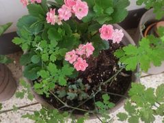 ❤ 암사역3분.한강공원 18번째 이미지