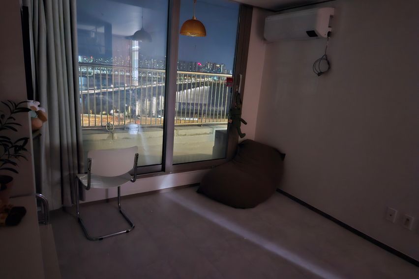 한강뷰 with 고양이