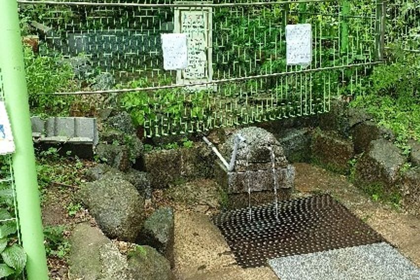 파주 연풍리 꽃동204