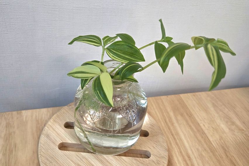  동묘역신당역 a신축) 10번째 이미지