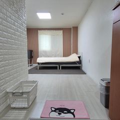 소나무 하우스 302호 방 이미지