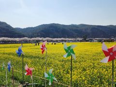 맹방바다독채민박 14번째 이미지