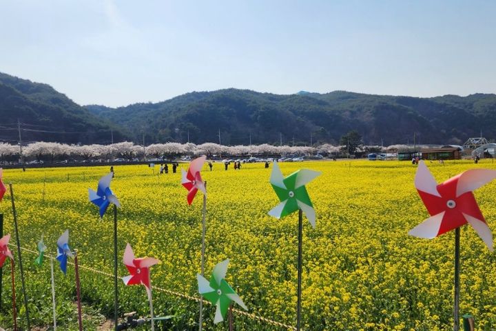 맹방바다독채민박 14번째 이미지