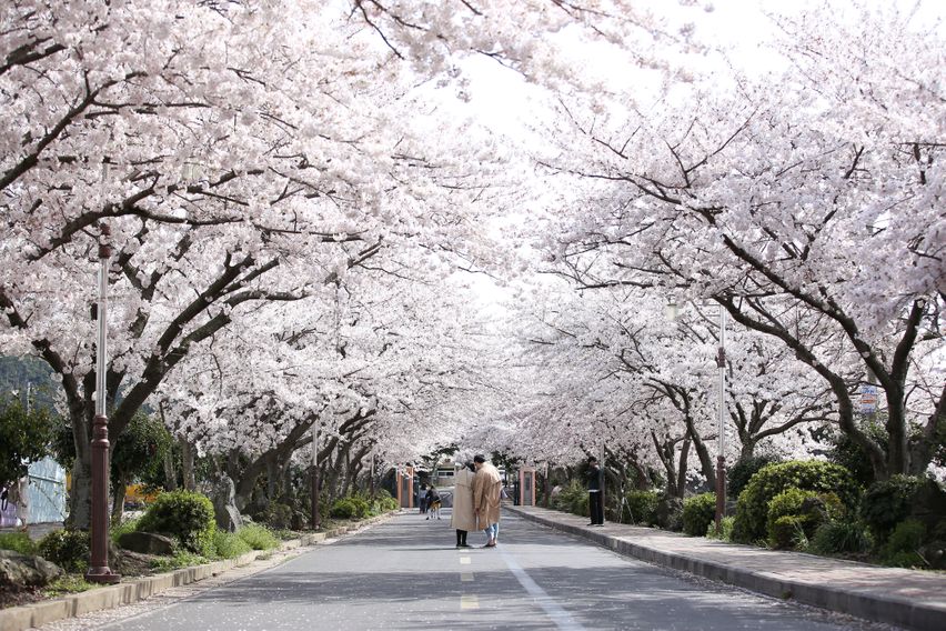 Studio with separate room, 2nd floor, 40F 12th image