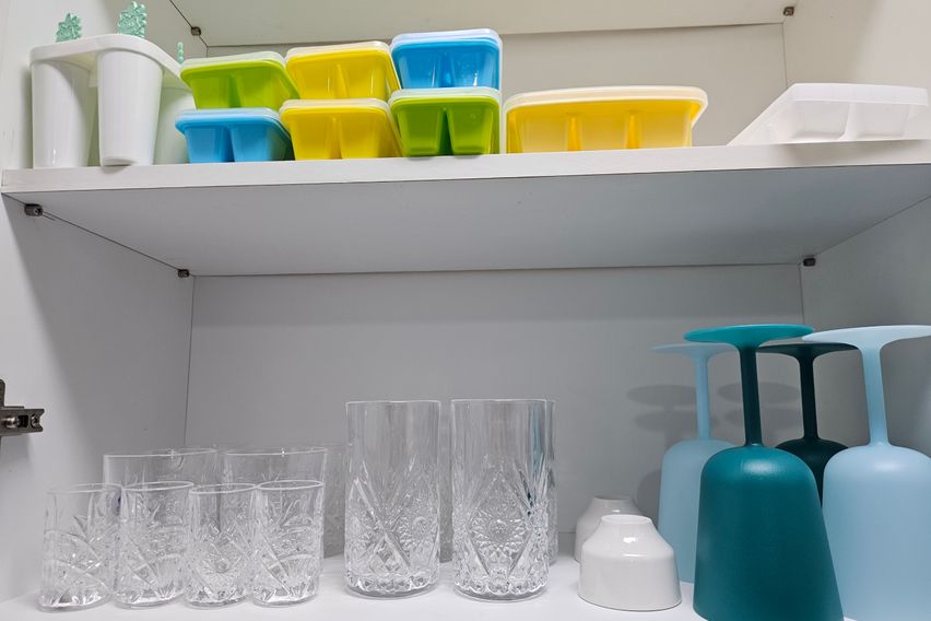 반려동물좋아요.