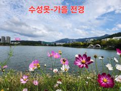 드림빌201수성 19번째 이미지