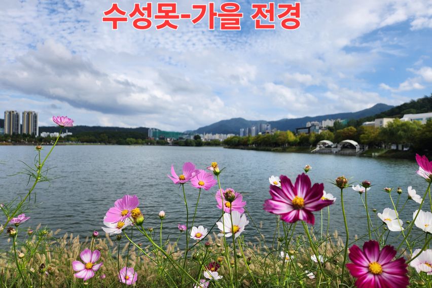 드림빌201수성