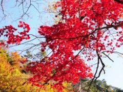 속초울산바위미키하우스 11번째 이미지