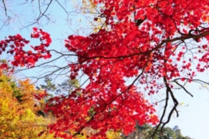 속초울산바위미키하우스 11번째 이미지