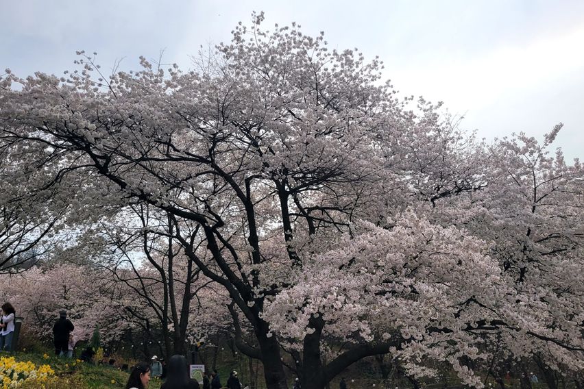 ㅁㅇ 3번째 이미지