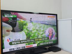❤️부산대병원동아대5분❤️ 14번째 이미지