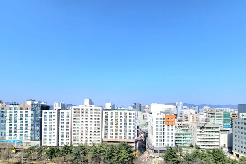 풀옵션 굿데이 러브