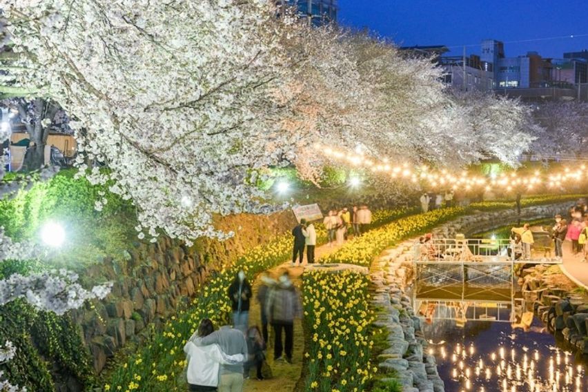 🌸궁거랑 최고 인기주택 17번째 이미지