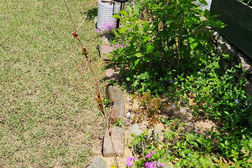 잔디마당.독채. 바베큐