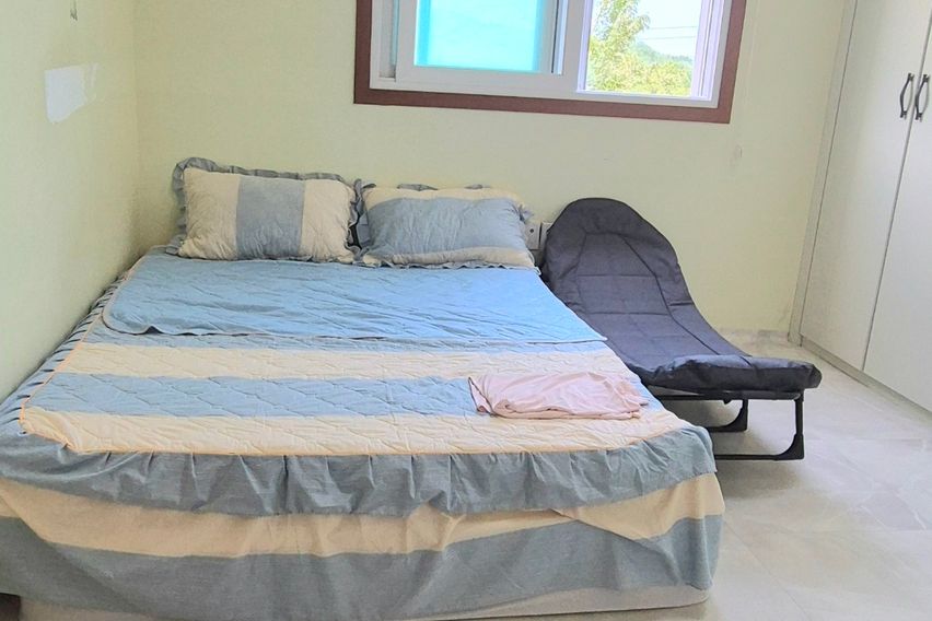 40평독채애견동반촌캉스