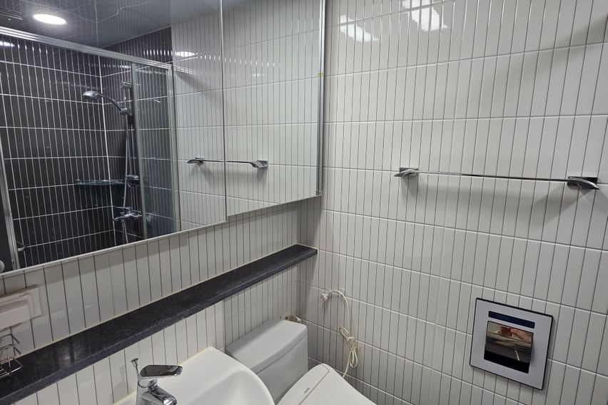 주엽동 삼부르네상스