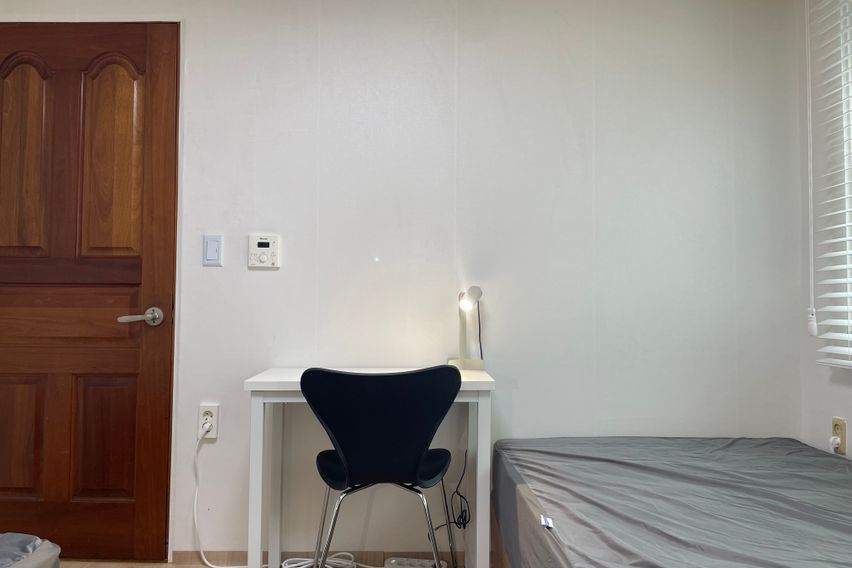 #53 안암/제기 4인