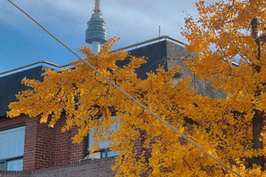 제이나인 1호 5번째 이미지