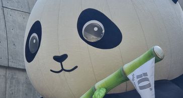 강남역 역세권 투룸🏖 방 이미지