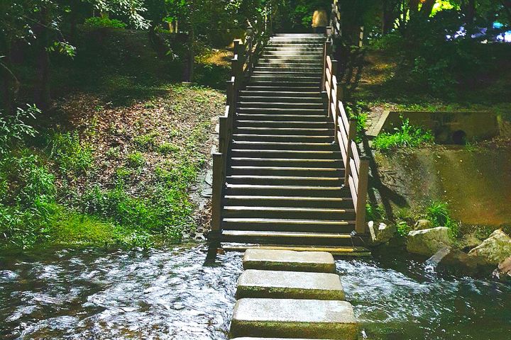 분당 판교 용인 쉐하 13번째 이미지