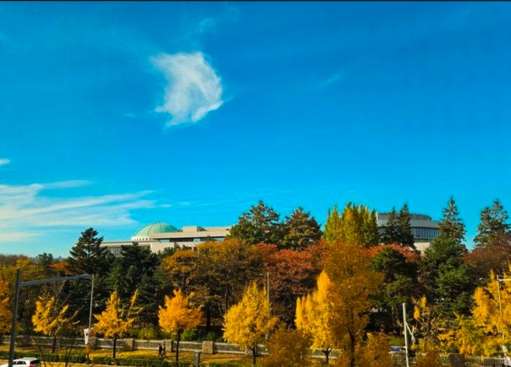 국회의사당여의도역여의도 16번째 이미지