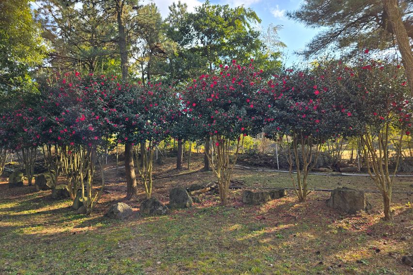 푸른숲 16동 10번째 이미지