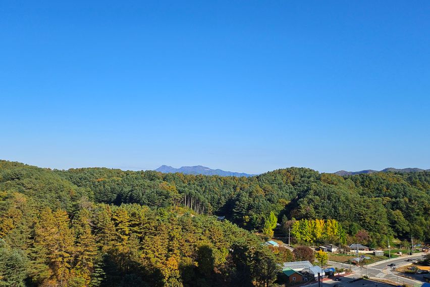 홍천의 자랑 럭셔리신축