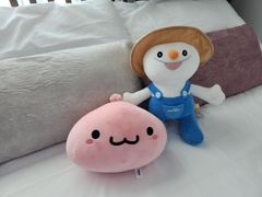 용평리조트 대관령 원룸 0번째 이미지