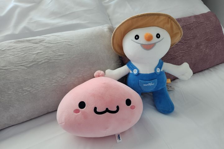 용평리조트 대관령 원룸 0번째 이미지
