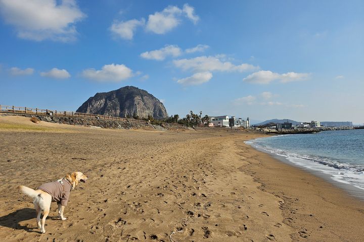 Sagye Beach, for 1–2 guests 19th image