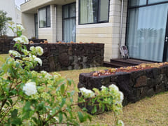 Wimi/Courtyard View Duplex Studio #2 8th image