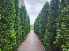 동탄역30초 편안한집 12번째 이미지