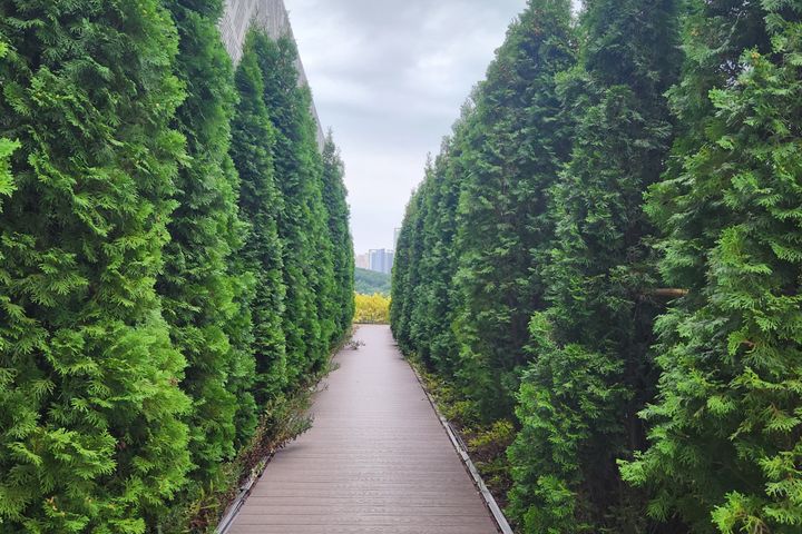 동탄역30초 편안한집 12번째 이미지