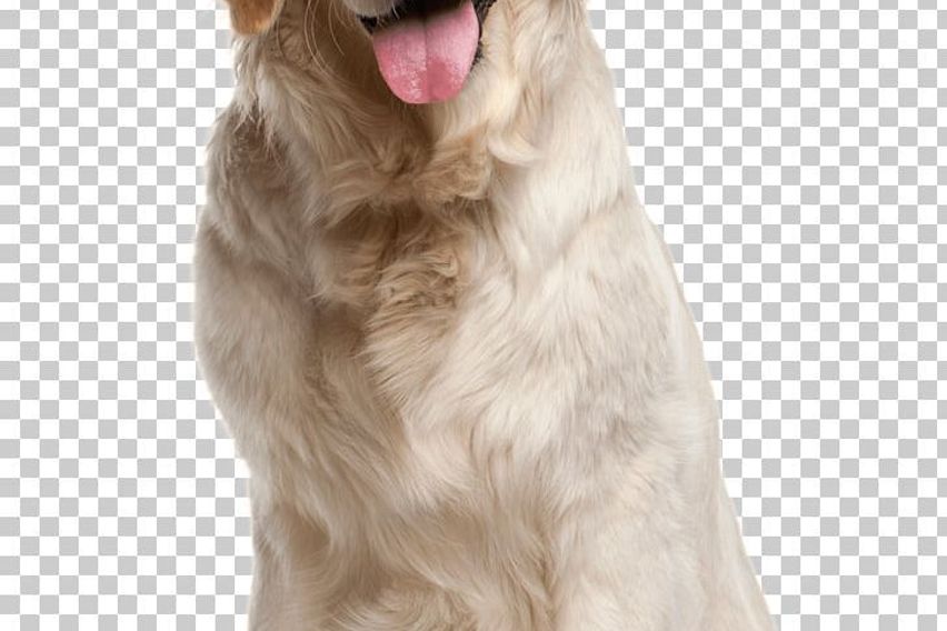 망원방 망원방 수정