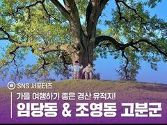 영남대역15분원룸AII 16번째 이미지