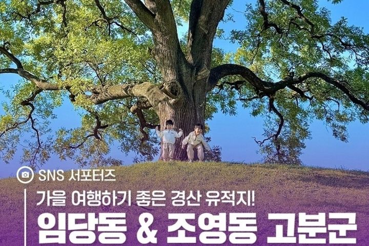 영남대역15분원룸AII 16번째 이미지