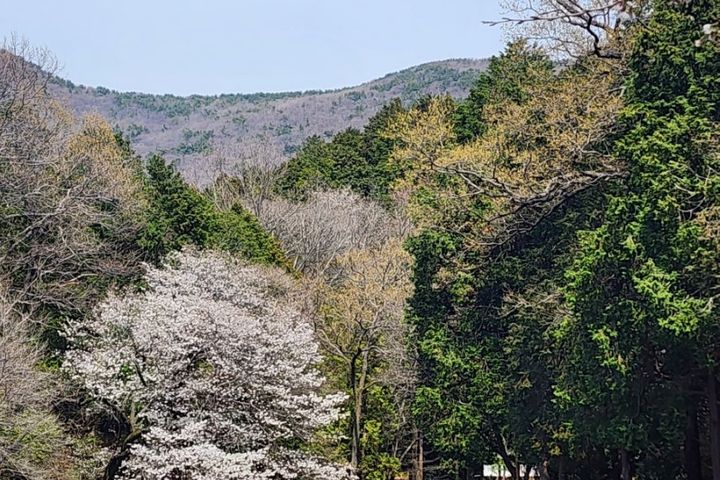 2층 독채 9번째 이미지