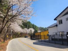 독채호수뷰 힐링하우스2 1번째 이미지