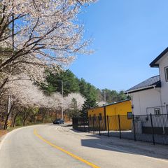 독채호수뷰 힐링하우스1 방 이미지