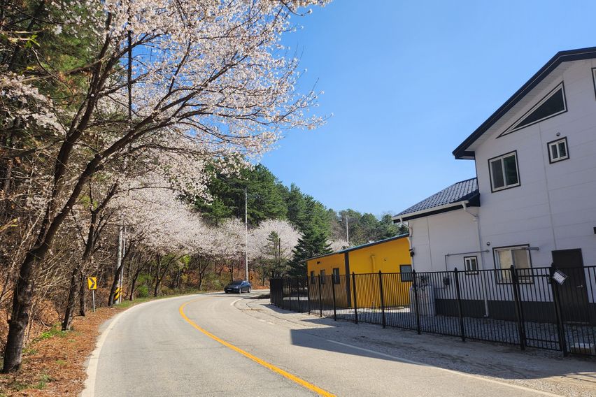 독채호수뷰 힐링하우스1 0번째 이미지