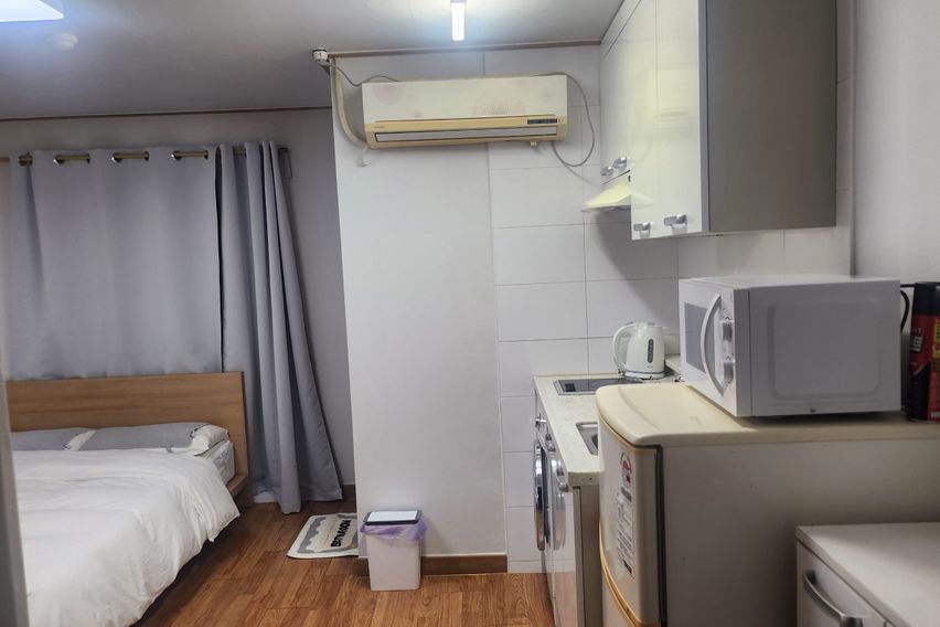 부산갈매기 501 특가