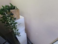 비더스테이스탠다드B-2 13번째 이미지