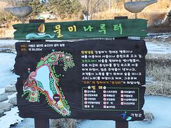 안개꽃 8번째 이미지