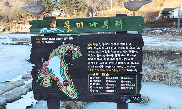안개꽃 8번째 이미지