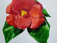 Art Room Wonmi 8th image