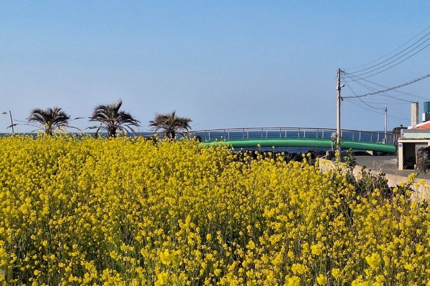 제주애월 바다전망 원룸 11번째 이미지