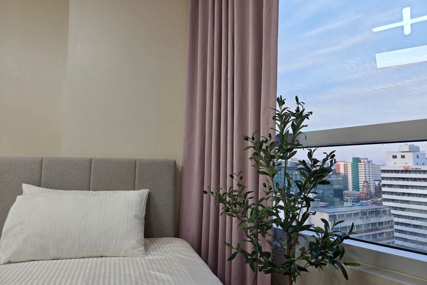 종로 올리브🌿 스테이